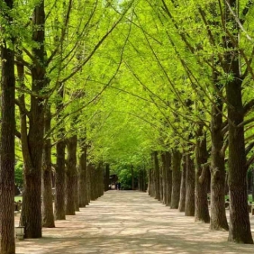 tour-han-quoc-thang-7-03