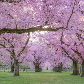 tour-canada-lien-tuyen-thang-4-01