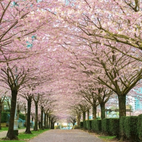 tour-canada-lien-tuyen-thang-4-02