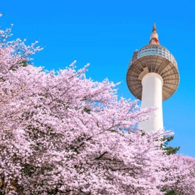 tour-han-quoc-thang-4-01