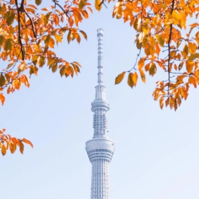 tour-nhat-ban-cdv-thang-12-02