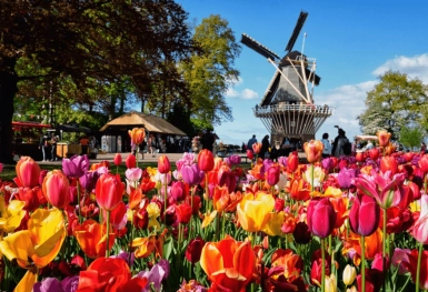 [Tour châu Âu 5 nước tháng 3] Vi vu Đức - Luxembourg - Bỉ - Hà Lan - Pháp (28/03/2026)