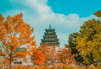 [Tour Hàn Quốc tháng 10] Mùa thu Seoul - Nami - Everland (16/10/2026)