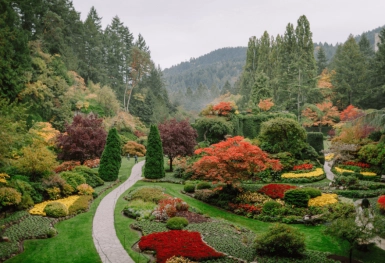 [Tour Canada bờ Tây tháng 10] Vancouver - Đảo Victoria (20/10/2026)