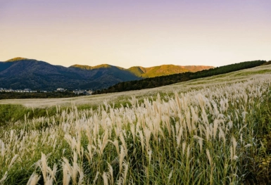 [Tour Nhật Bản 5N4Đ tháng 10] Tokyo - Phú Sĩ - Hakone (09/10/2025)