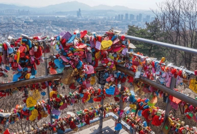 [Tour Hàn Quốc tháng 4] Ngắm hoa anh đào ở Yeouido (17/04/2026)