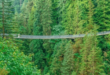 [Tour Canada bờ Tây tháng 7] Vancouver - Đảo Victoria (13/07/2026)