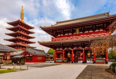 [Tour Nhật Bản CĐV tháng 12] Vi vu tham quan Tokyo - Phú Sĩ - Nagoya - Kyoto - Osaka (16/12/2025)