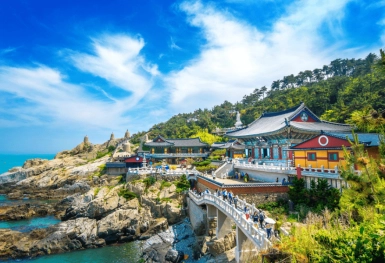 [Tour Hàn Quốc tháng 5] Busan - Daegu - Seoul (13/05/2026)