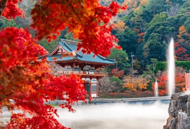 [Tour Nhật Bản CĐV tháng 12] Tokyo - Phú Sĩ - Nagoya - Kyoto - Osaka (03/12/2025)