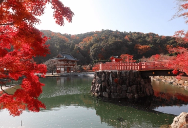 [Tour Nhật Bản CĐV tháng 12] Tokyo - Phú Sĩ - Nagoya - Kyoto - Osaka (12/12/2025)