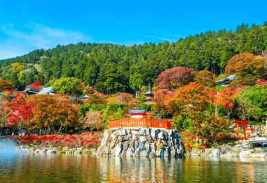 [Tour Nhật Bản CĐV tháng 12] Tokyo - Phú Sĩ - Nagoya (31/12/2025)