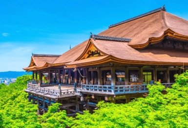 [Tour Nhật Bản CĐV tháng 7] Vi vu Tokyo - Phú Sĩ - Nagoya - Kyoto - Osaka (10/07/2026)