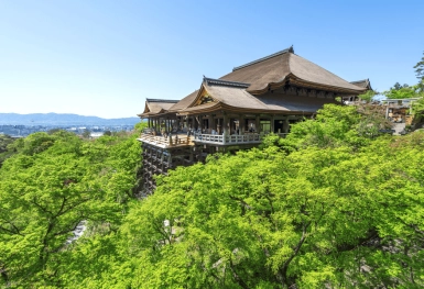 [Tour Nhật Bản CĐV tháng 7] Tokyo - Phú Sĩ - Nagoya - Kyoto - Osaka (24/07/2026)