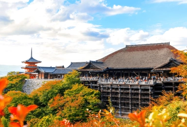 [Tour Nhật Bản CĐV tháng 11] Tham quan Tokyo - Phú Sĩ - Nagoya - Kyoto mùa lá đỏ (21/11/2025)