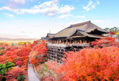 [Tour Nhật Bản CĐV tháng 11] Osaka - Kyoto - Nagoya - Phú Sĩ - Tokyo (18/11/2025)