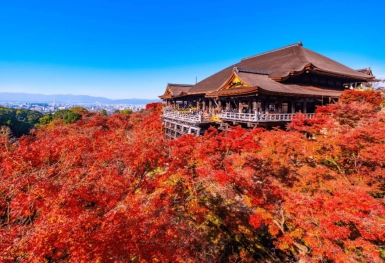 [Tour Nhật Bản CĐV tháng 12] Tokyo - Phú Sĩ - Nagoya (31/12/2025)