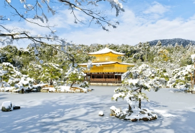 [Tour Nhật Bản CĐV tháng 1] Tokyo - Phú Sĩ - Nagoya - Kyoto - Osaka (21/01/2026)