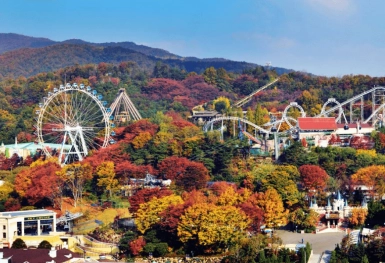 [Tour Hàn Quốc tháng 12] Mùa thu Seoul - Nami - Everland (11/12/2026)
