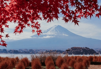 [Tour Nhật Bản CĐV tháng 12] Tokyo - Phú Sĩ - Nagoya - Kyoto - Osaka (16/12/2025)