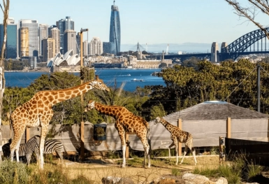 [Tour Úc tháng 8] Khám phá mùa đông Sydney - Melbourne (21/08/2025)