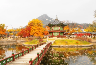 [Tour Hàn Quốc tháng 10] Mùa thu Seoul - Nami - Everland (16/10/2026)