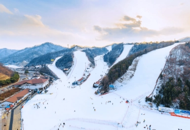 [Tour Hàn Quốc tháng 12] Seoul - Nami - Lotte World (05/12/2025)