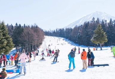 [Tour Nhật Bản CĐV tháng 1] Tokyo - Phú Sĩ - Nagoya - Kyoto - Osaka (14/01/2026)
