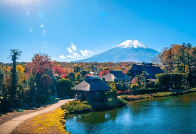 [Tour Nhật Bản 5N4Đ tháng 10] Tham quan Nhật Bản đầu thu Tokyo - Phú Sĩ - Hakone (09/10/2025)