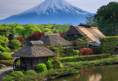 [Tour Nhật Bản CĐV tháng 6] Mùa hè Tokyo - Phú Sĩ - Osaka (26/06/2026)