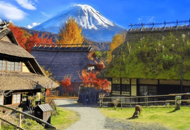 [Tour Nhật Bản CĐV tháng 12] Tokyo - Phú Sĩ - Nagoya (31/12/2025)