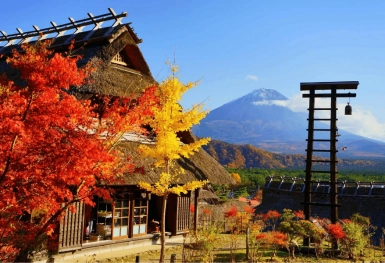 [Tour Nhật Bản CĐV tháng 10] Osaka - Kyoto - Nagoya - Phú Sĩ - Tokyo (28/10/2025)