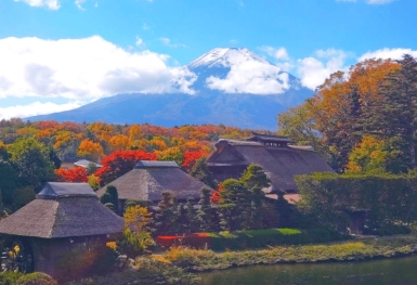 [Tour Nhật Bản CĐV tháng 11] Tokyo - Phú Sĩ - Nagoya - Kyoto - Osaka (28/11/2025)