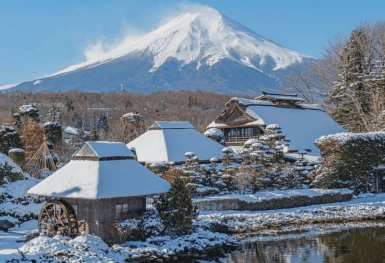 [Tour Nhật Bản CĐV tháng 1] Tokyo - Phú Sĩ - Nagoya - Kyoto - Osaka (21/01/2026)