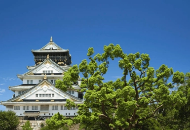 [Tour Nhật Bản CĐV tháng 10] Tokyo - Phú Sĩ - Kyoto - Osaka (15/10/2025)