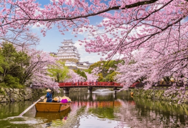 [Tour Nhật Bản CĐV tháng 4] Khám phá mùa hoa anh đào (14/04/2026)