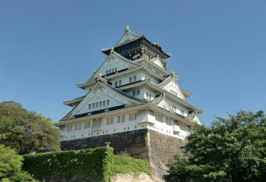 [Tour Nhật Bản CĐV tháng 5] Du lịch Tokyo - Phú Sĩ - Nagoya - Osaka mùa hè (29/05/2026)