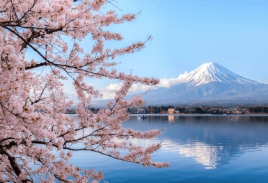 [Tour Nhật Bản CĐV tháng 4] Trải nghiệm mùa hoa anh đào Osaka - Tokyo (05/04/2026)