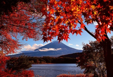 [Tour Nhật Bản CĐV tháng 10] Tokyo - Phú Sĩ - Nagoya - Kyoto - Osaka (24/10/2025)