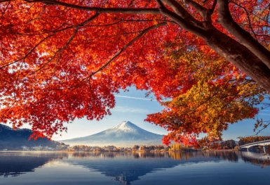 [Tour Nhật Bản CĐV tháng 10] Osaka - Kyoto - Nagoya - Phú Sĩ - Tokyo (28/10/2025)