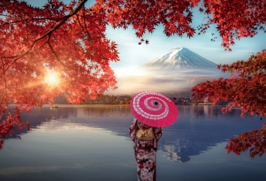 [Tour Nhật Bản CĐV tháng 11] Khám phá Tokyo - Phú Sĩ - Nagoya - Kyoto - Osaka (19/11/2025)