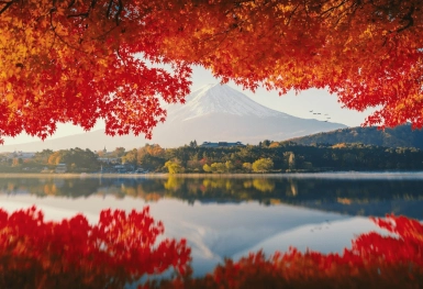 [Tour Nhật Bản 5N4Đ tháng 10] Tokyo - Phú Sĩ - Hakone (09/10/2025)