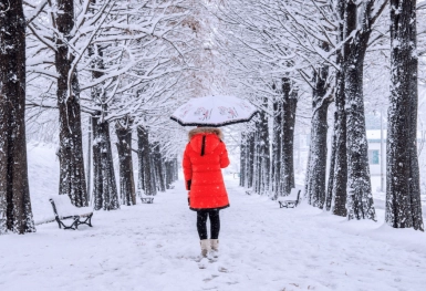 [Tour Hàn Quốc tháng 1] Seoul - Nami - Lotte World - Trượt tuyết Elysian (23/01/2026)