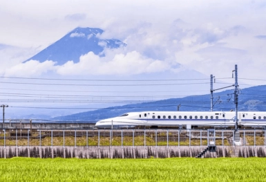 [Tour Nhật Bản CĐV tháng 8] Tokyo - Phú Sĩ - Nagoya - Kyoto - Osaka (28/08/2026)