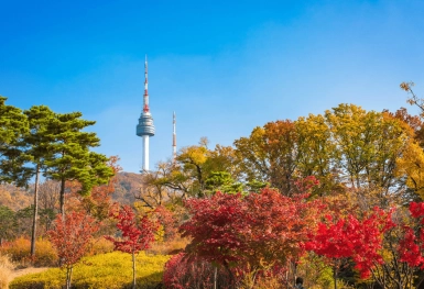 [Tour Hàn Quốc tháng 10] Mùa thu Seoul - Nami - Everland (16/10/2026)